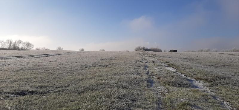 a path on an iced field